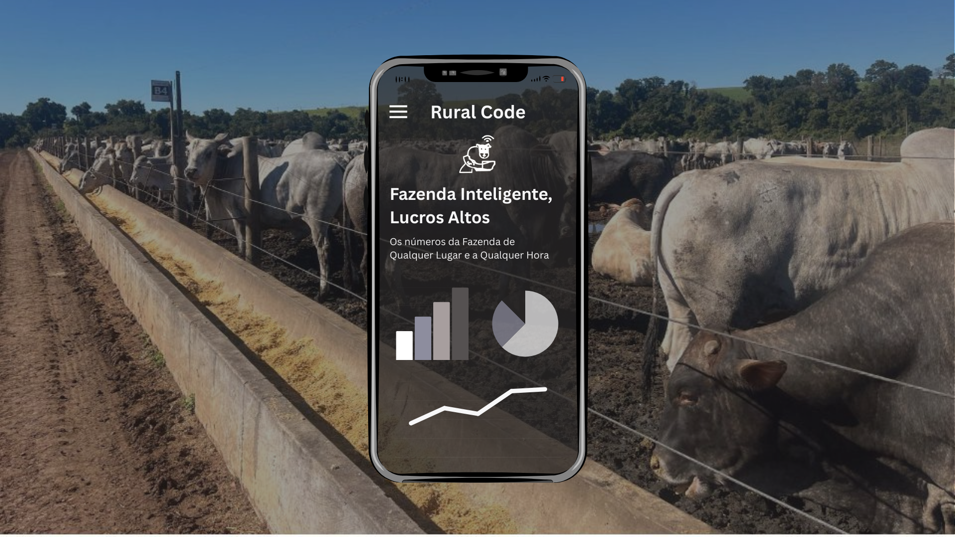 rural code
